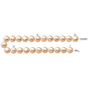 PEG-MGF Peptide Structure